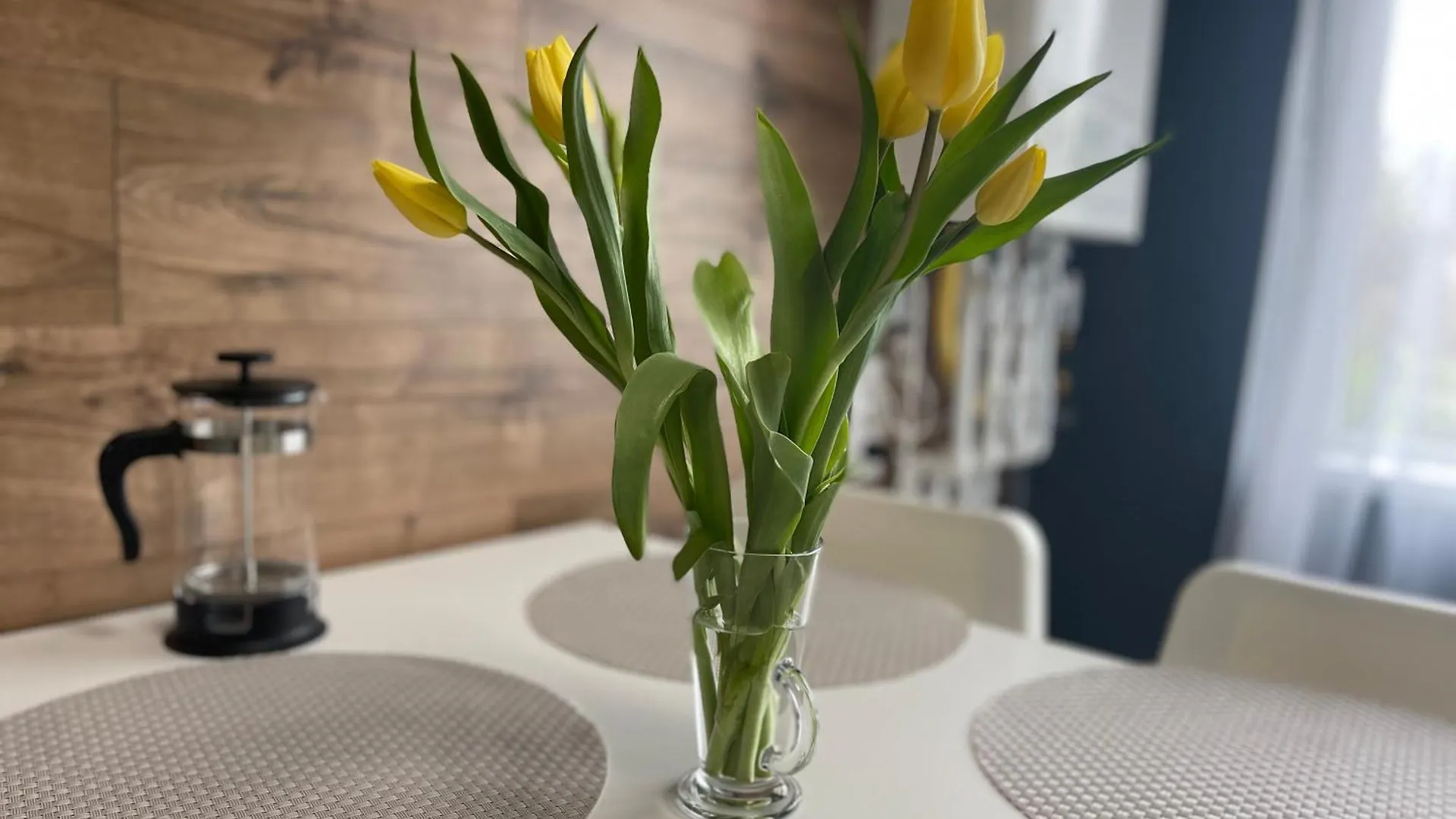V Apartament - Ultra Central Otopeni Romania